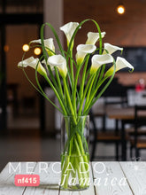 Compartamos el Encanto con Callas Blancas